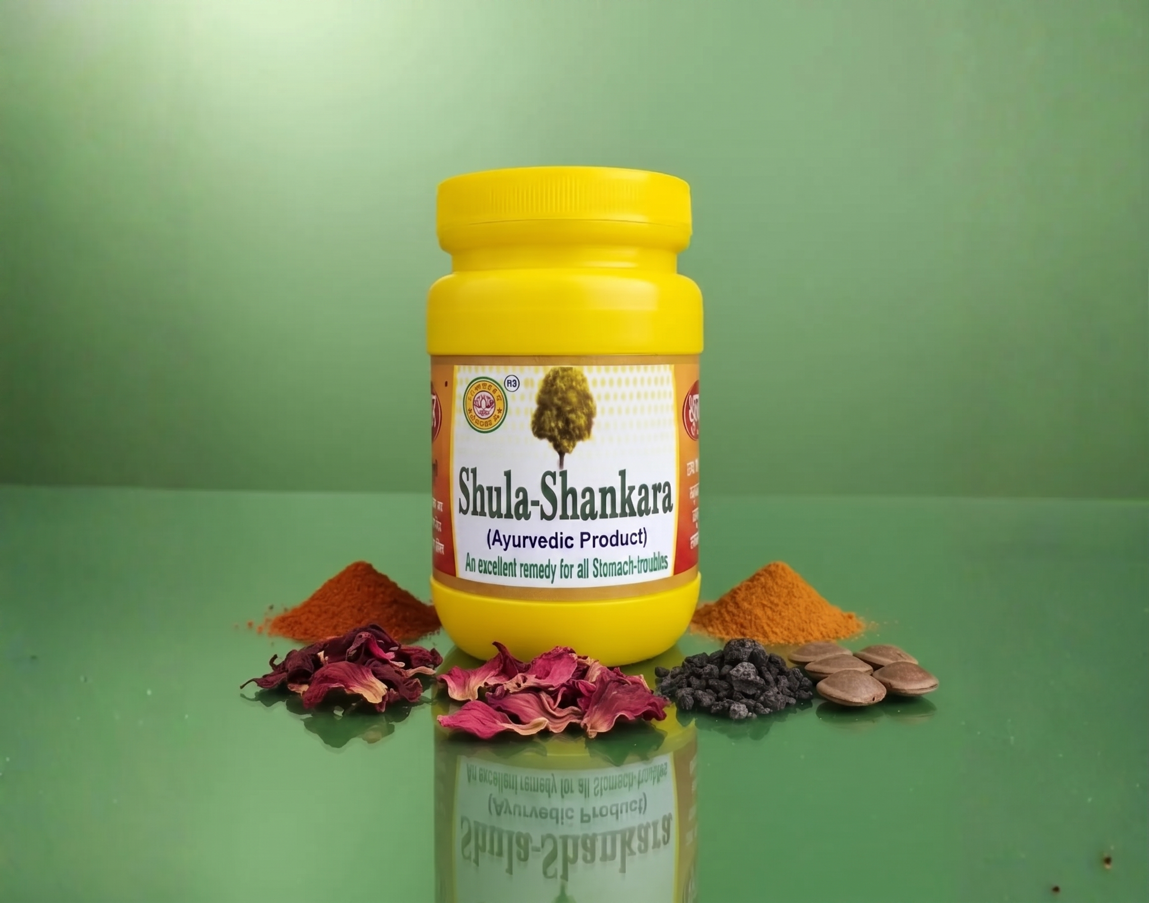 Shula Shankar