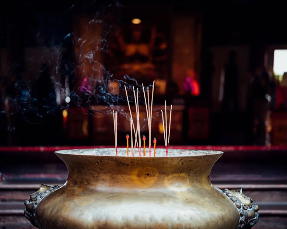 tree plantation camp