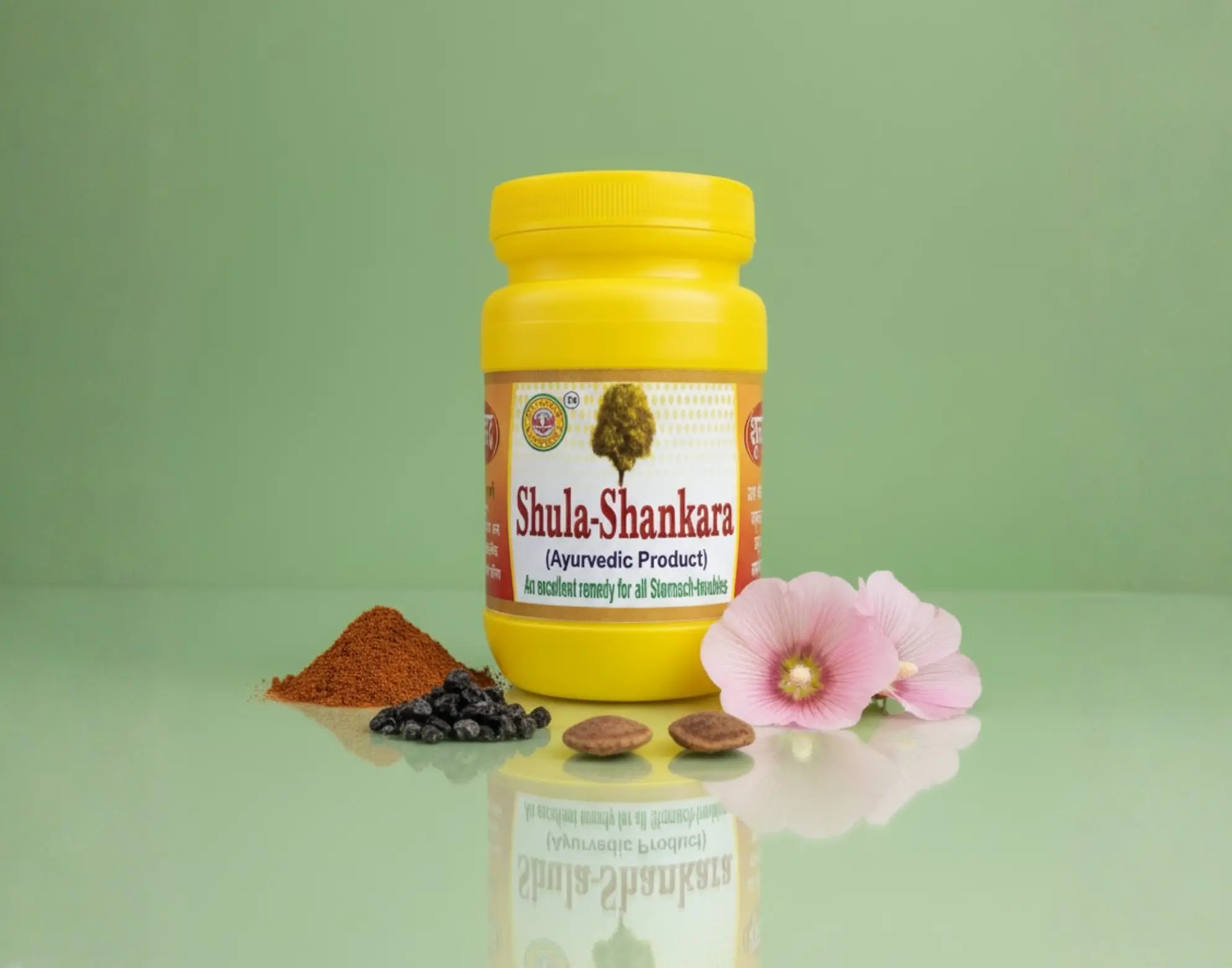 Shula Shankar