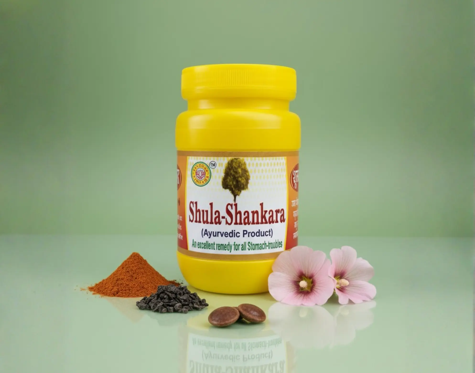 Shula Shankar